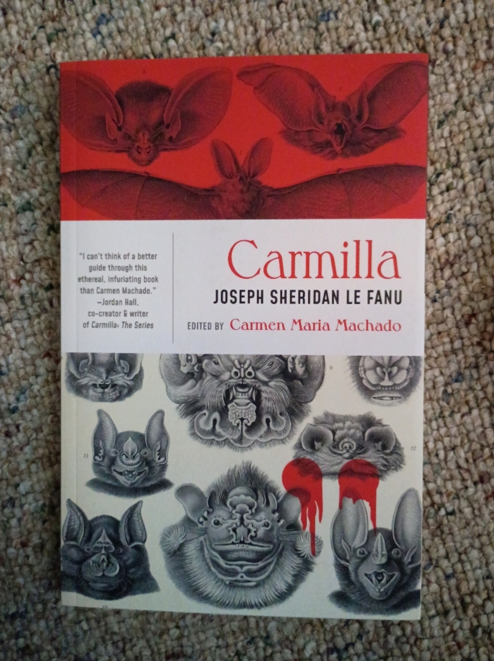 Camilla Paperback Novel with Red Accent